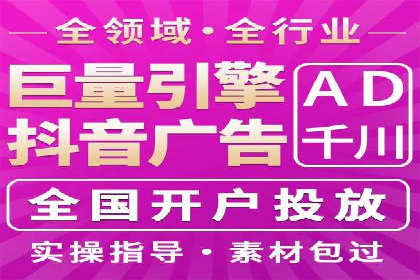 百度竞价广告与自然搜索排名的结合策略案例